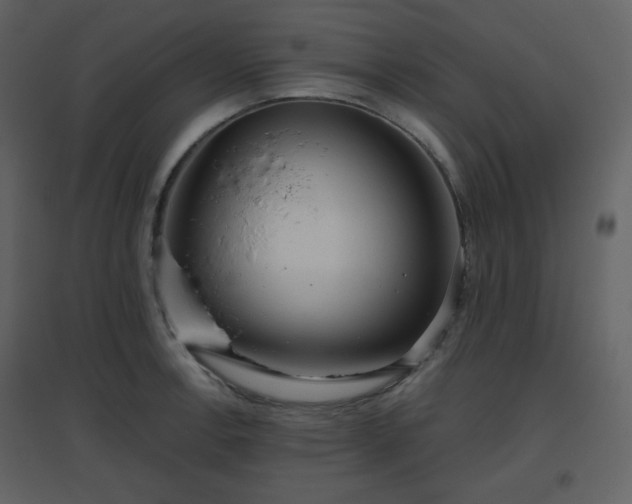 X0000096631138200802121041