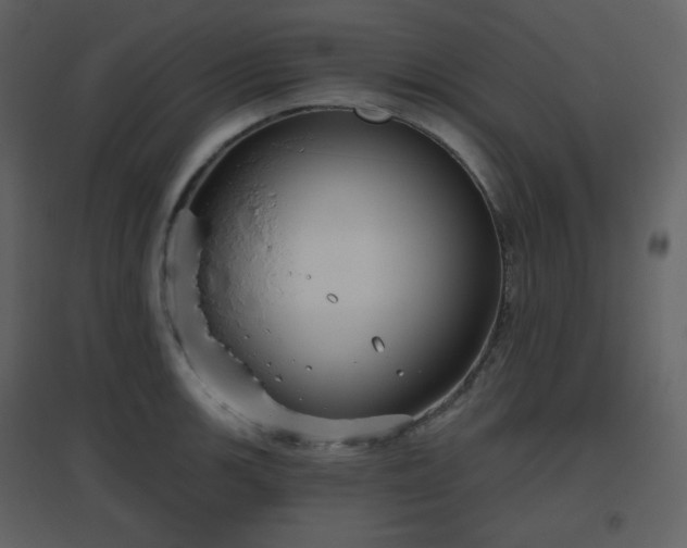X0000096631139200802121041