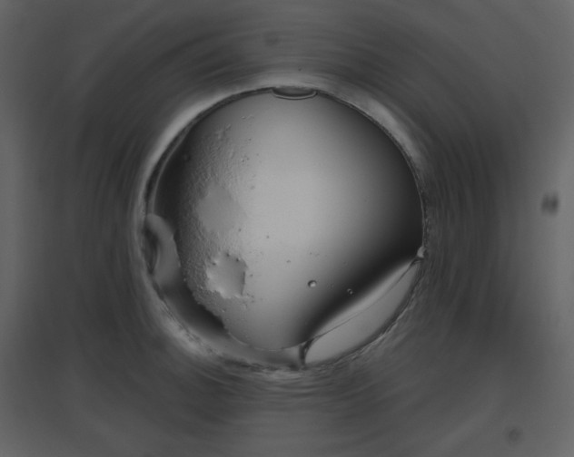 X0000096631140200802121041