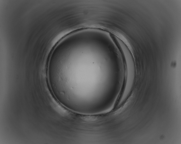 X0000096631141200802121041