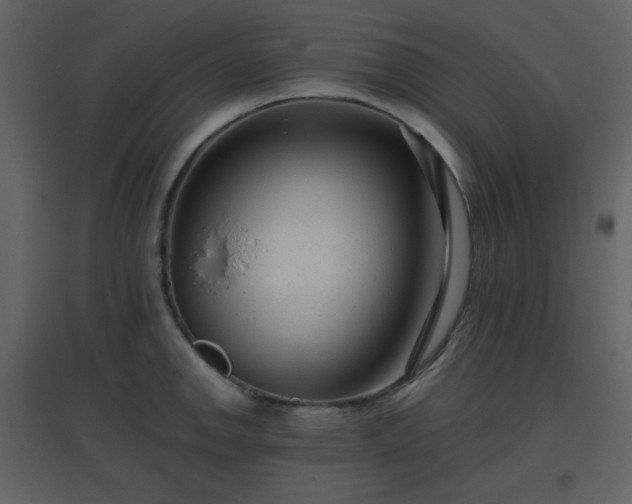 X0000096631142200802121041