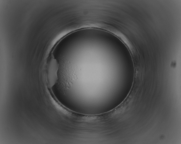 X0000096631143200802121041