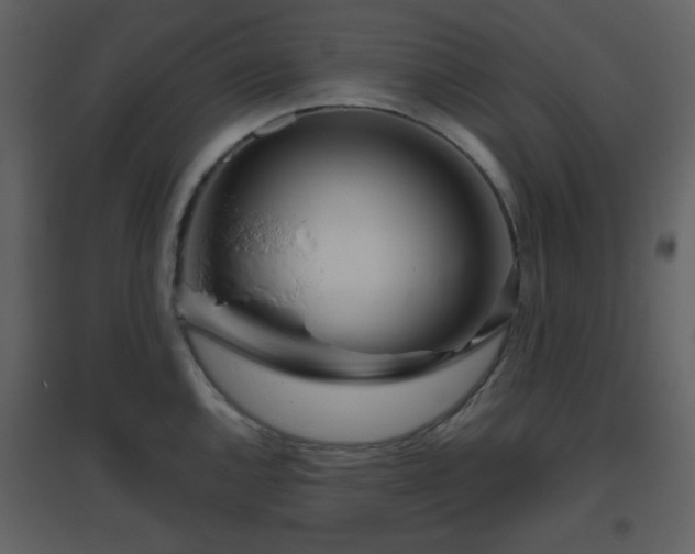 X0000096631144200802121041