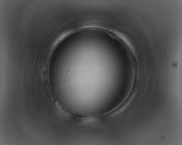 X0000096631145200802121041