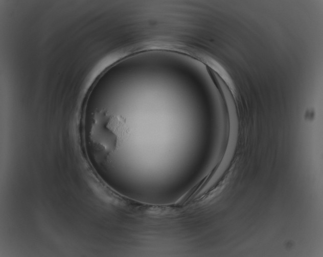 X0000096631146200802121041