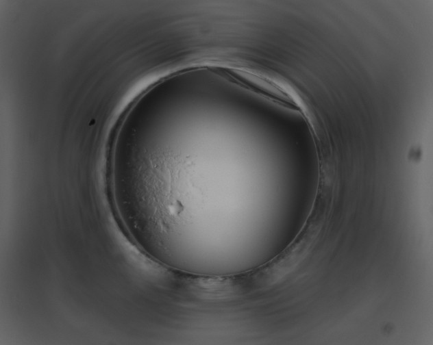 X0000096631147200802121041