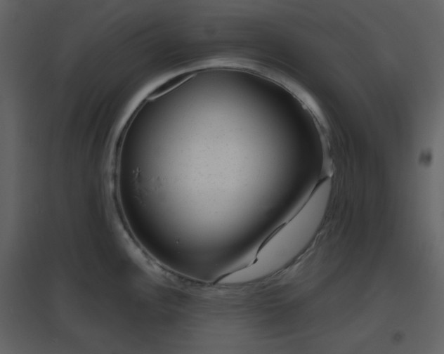 X0000096631148200802121041