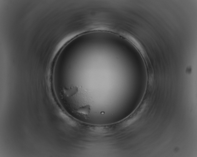 X0000096631149200802121041