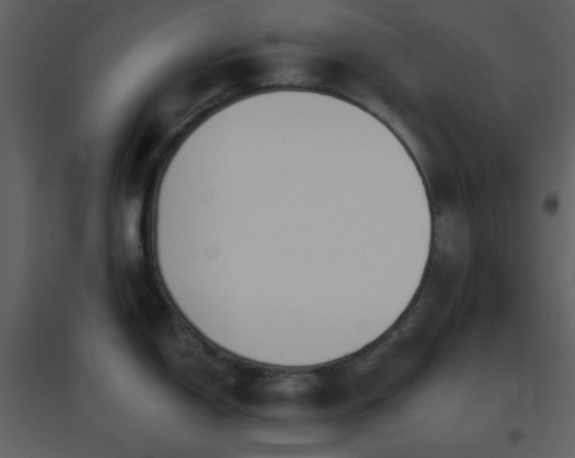 X0000096631150200802121041
