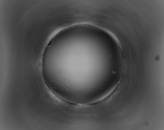 X0000096631151200802121041