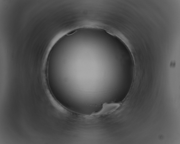 X0000096631152200802121041