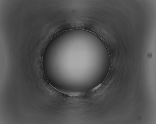 X0000096631153200802121041