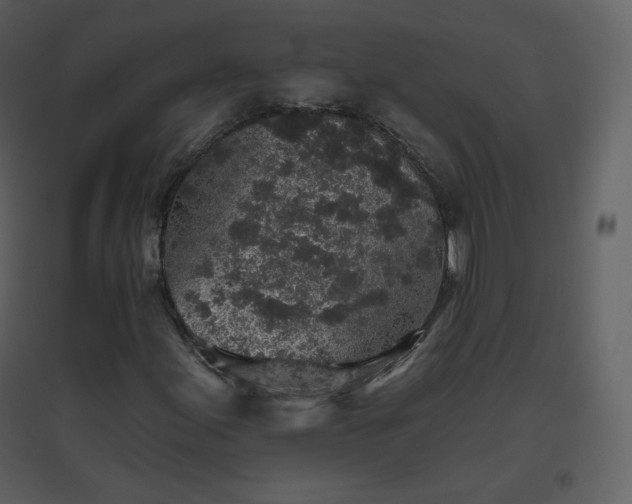 X0000096631155200802121041