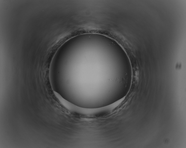 X0000096631157200802121041