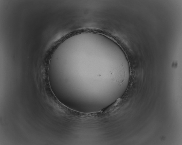 X0000096631159200802121041