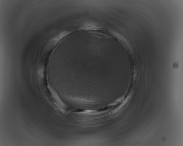 X0000096631161200802121041