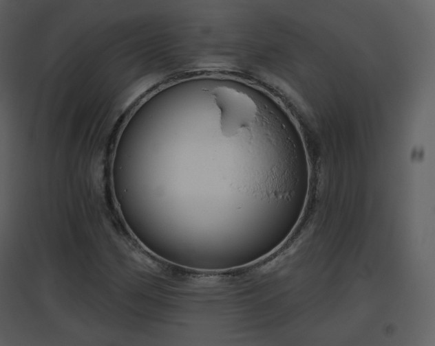 X0000096631162200802121041