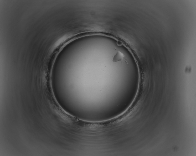 X0000096631163200802121041