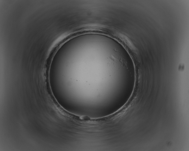 X0000096631164200802121041