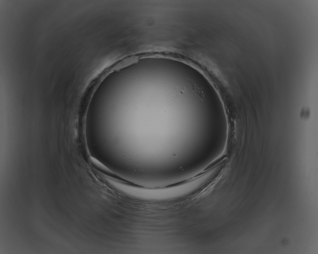 X0000096631165200802121041