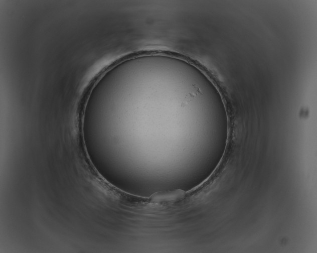 X0000096631167200802121041