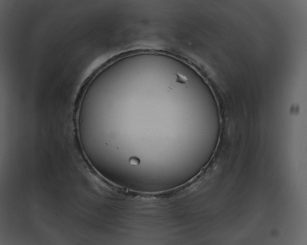 X0000096631168200802121041