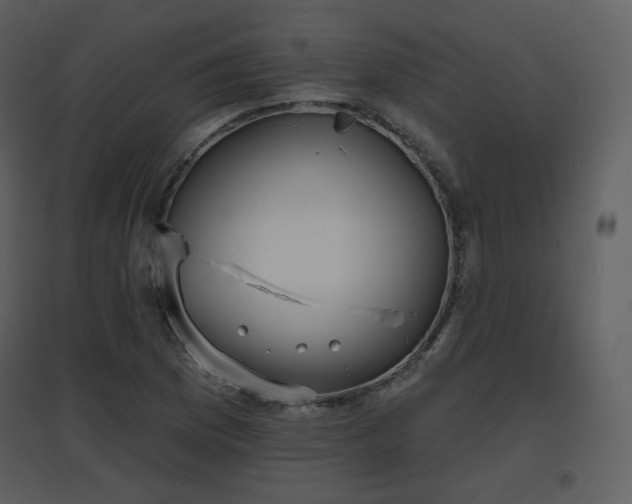 X0000096631169200802121041