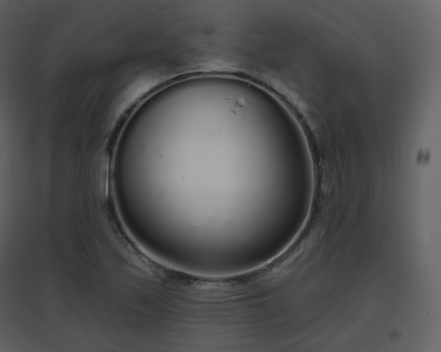 X0000096631171200802121040