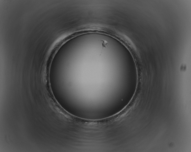 X0000096631172200802121040