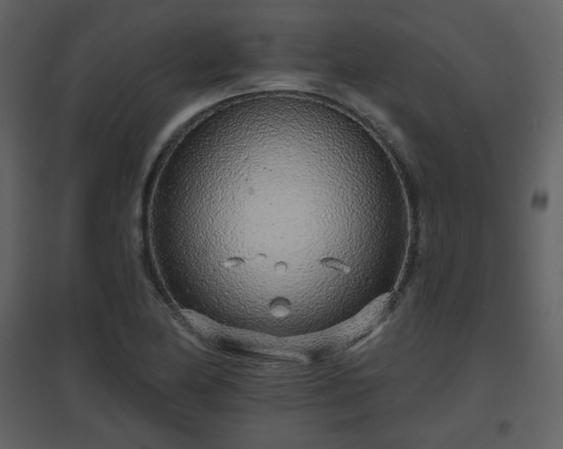 X0000096631174200802121040