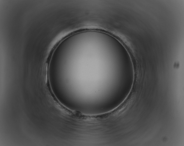 X0000096631175200802121040