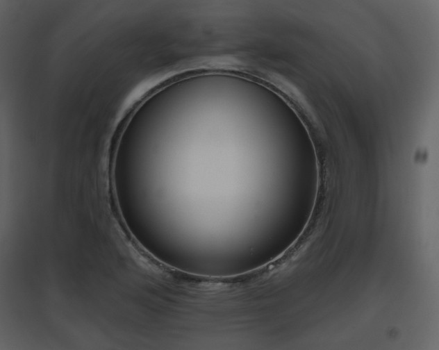 X0000096631176200802121040
