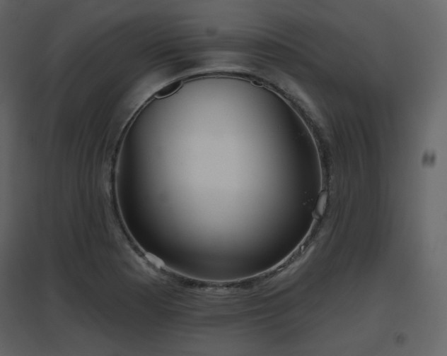 X0000096631177200802121040