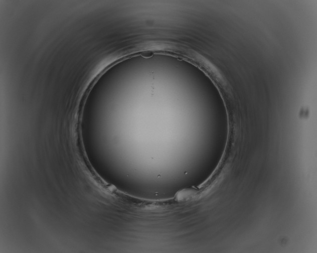 X0000096631178200802121040