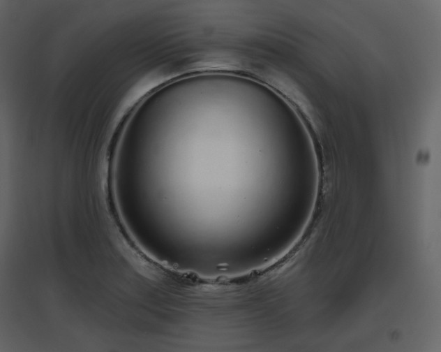 X0000096631179200802121040