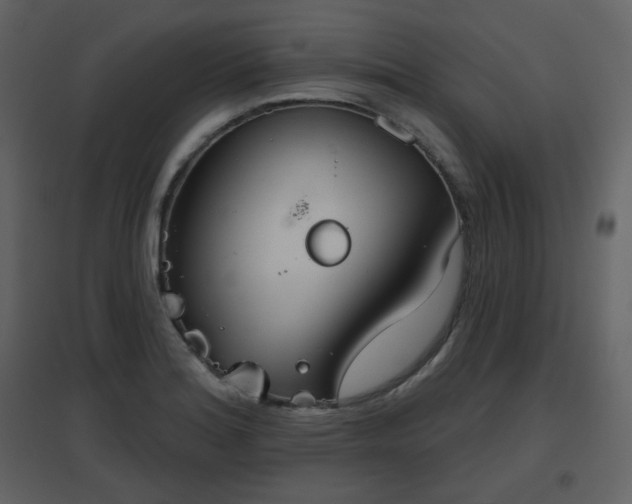 X0000096631180200802121040