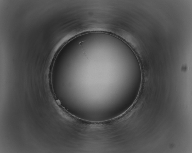 X0000096631181200802121040