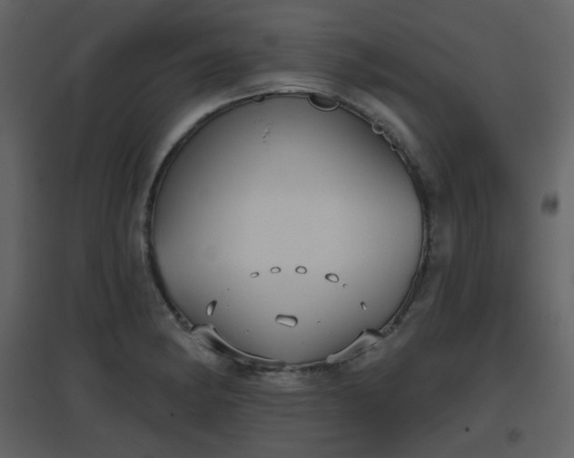 X0000096631182200802121040