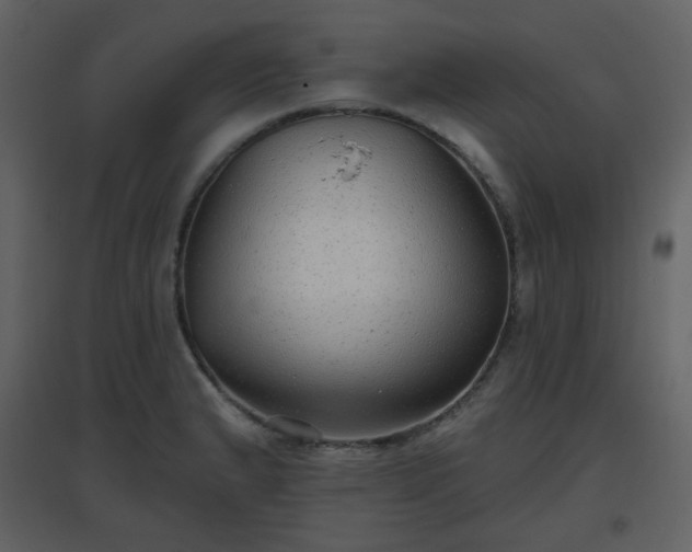 X0000096631183200802121040