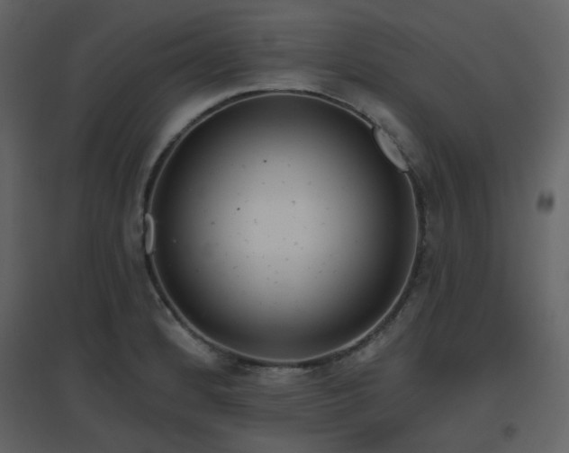 X0000096631184200802121040