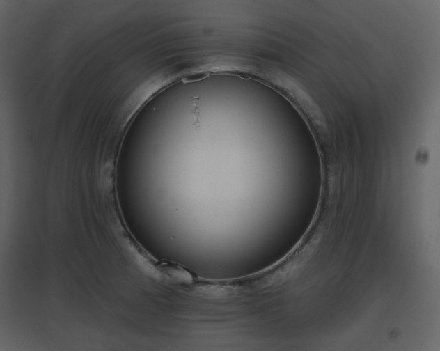 X0000096631185200802121040