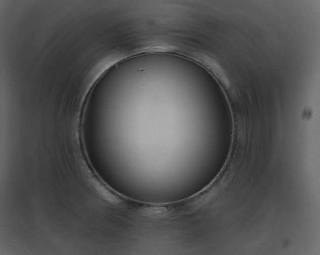 X0000096631186200802121040