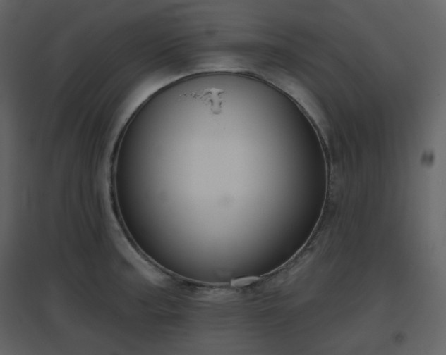X0000096631187200802121040