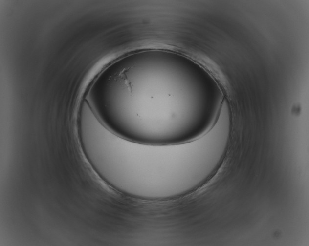 X0000096631188200802121040