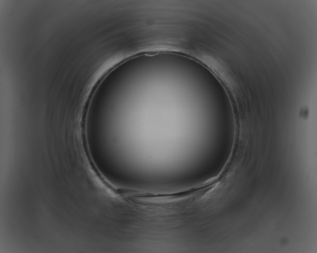 X0000096631189200802121040