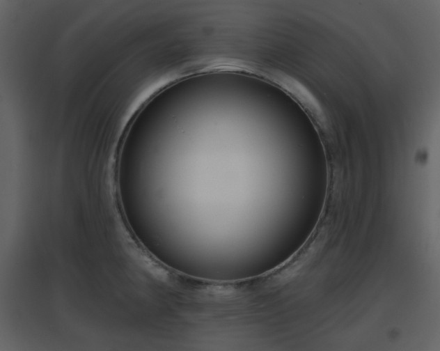 X0000096631190200802121040