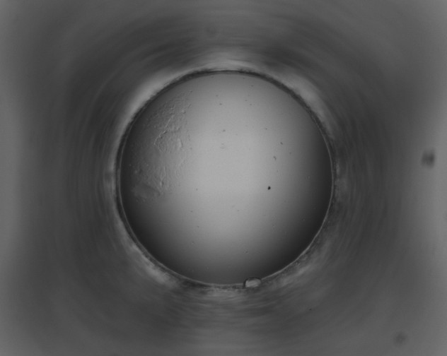 X0000096631191200802121040