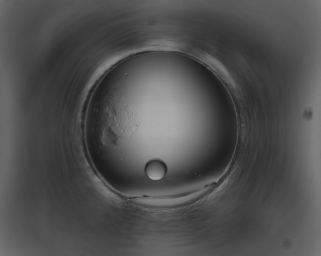 X0000096631192200802121040