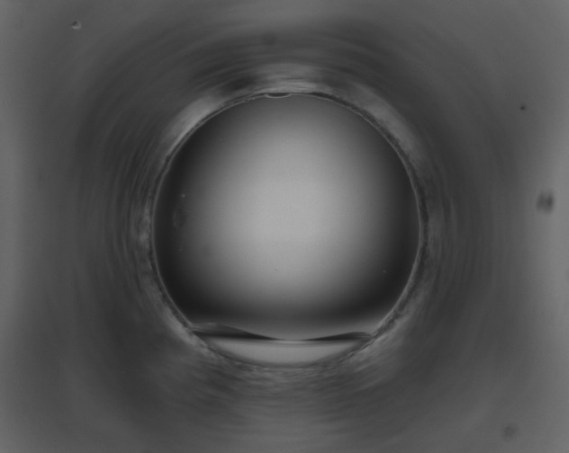 X0000096631193200802121040