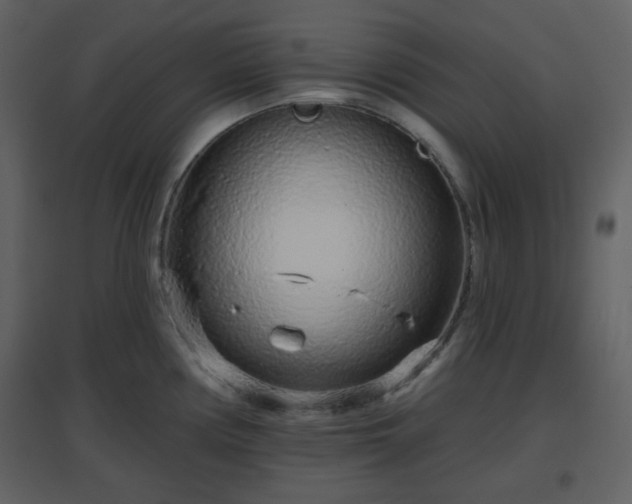 X0000096631194200802121040